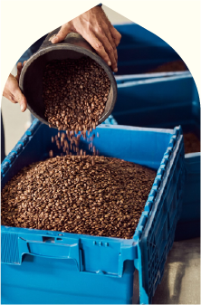 مقاله مربوط به قهوه تست شماره یک