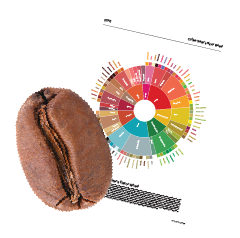 مشاوره و کنترل کیفیت| قهوه مکتب تبریز | Maktab coffee 