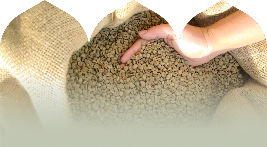 سوالات متداول | قهوه مکتب تبریز | Maktab coffee 