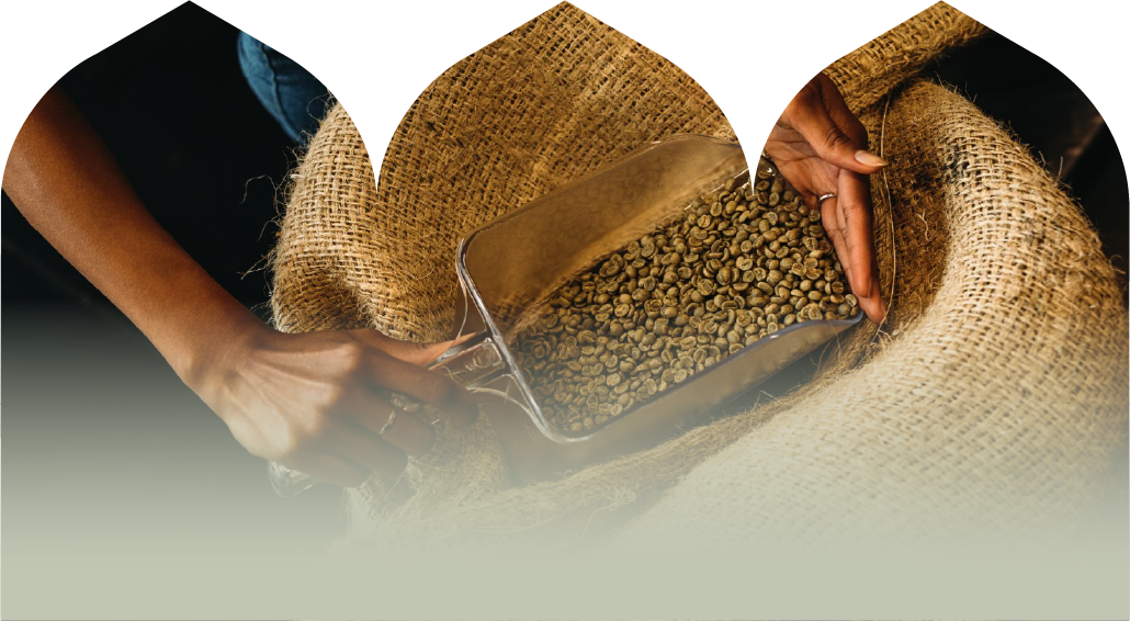 حریم خصوصی | قهوه مکتب تبریز | Maktab coffee 