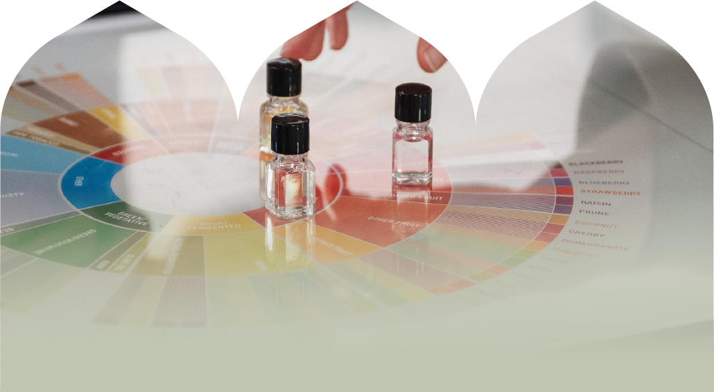 دوره ارزیابی حسی | قهوه مکتب تبریز | Maktab coffee 