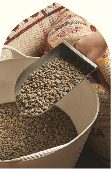 مقاله مربوط به قهوه تست شماره یک