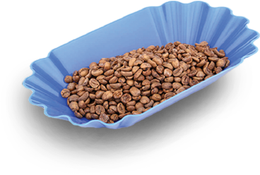 فروشگاه | قهوه مکتب تبریز | Maktab coffee 